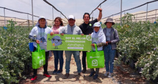 SOLICITAN 97 PERSONALES PARA COSECHA DE FRUTAS